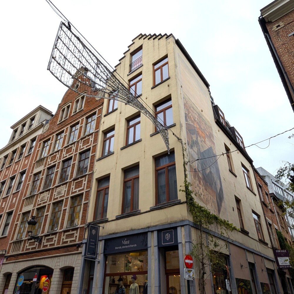 Mural of the Karmelietenklooster by Jean-Marc Collier at the beginning of the Gootstraat.