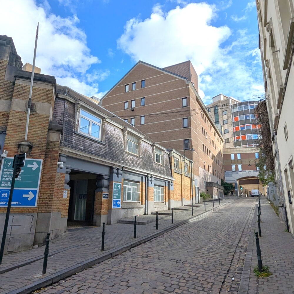 Fazantenstraat (Rue des Faisans) - Sint-Pieters-ter-Zieken © Harold Tor - Project Oud Brussel