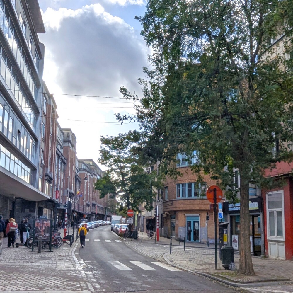 Hoogstraat - Sint-Pieters-ter-Zieken © Harold Tor - Project Oud Brussel