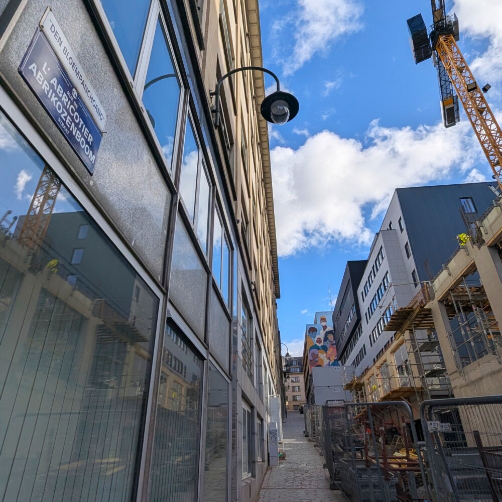 Abrikozenboomstraat (Rue de l'Abricotier) - Sint-Pieters-ter-Zieken © Harold Tor - Project Oud Brussel